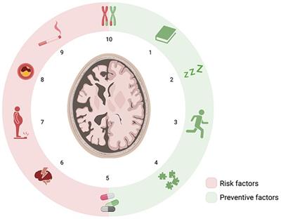 Influence of daily life and health profile in subtle cognitive decline of women residing in Spanish religious communities: DeCo <mark class="highlighted">religious orders</mark> study